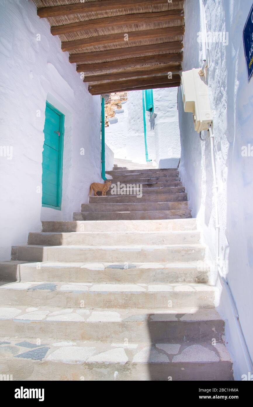 Vicolo lastricato di Ano Syros in Syros isola, Cicladi, Grecia. Vista sulla strada Foto Stock