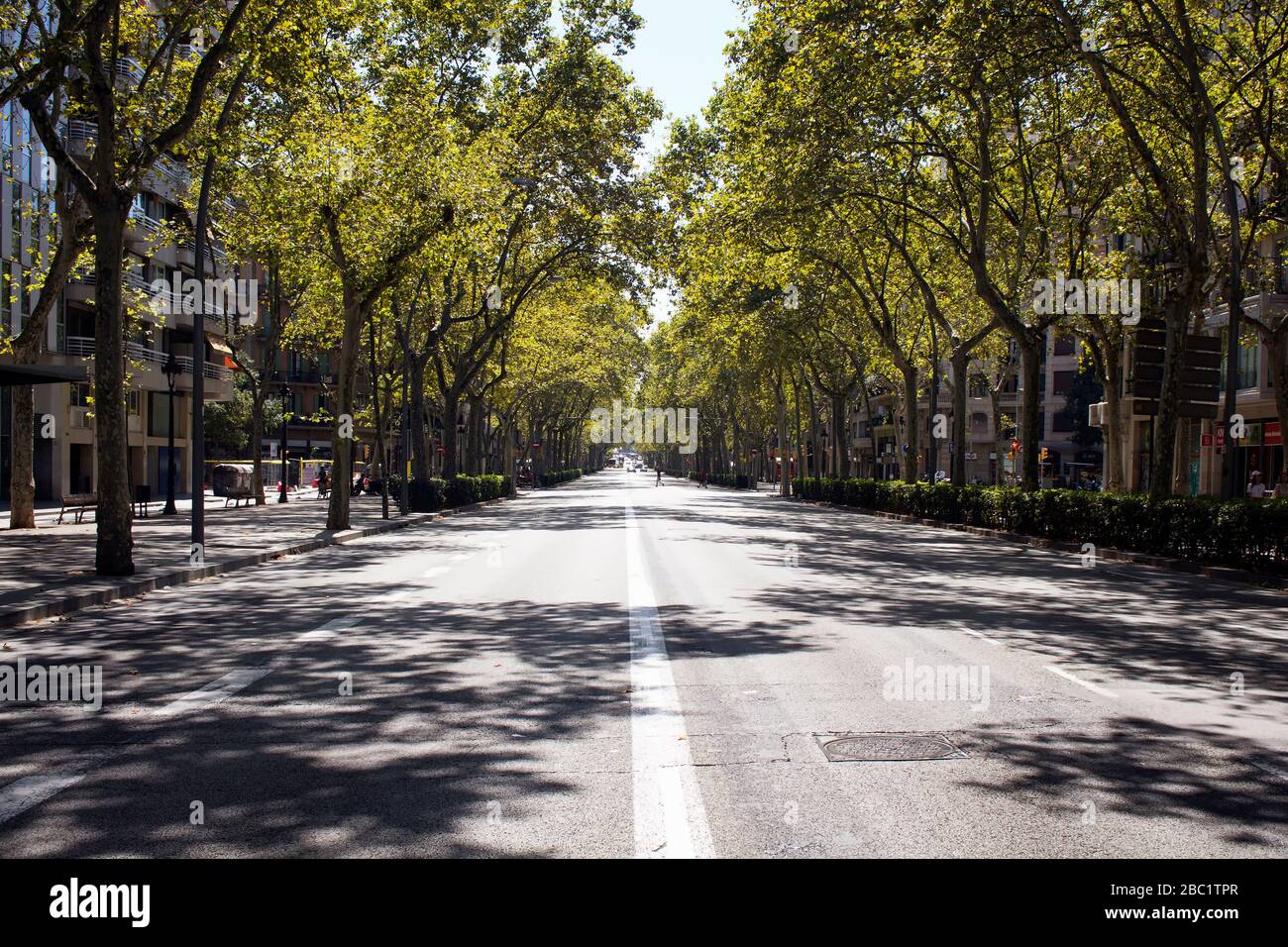 Vista di uno dei viali principali chiamati 'Gran Via de les Corts Catalanes' a Barcellona. Gli alberi e le loro ombre creano una scena drammatica. È un s soleggiato Foto Stock