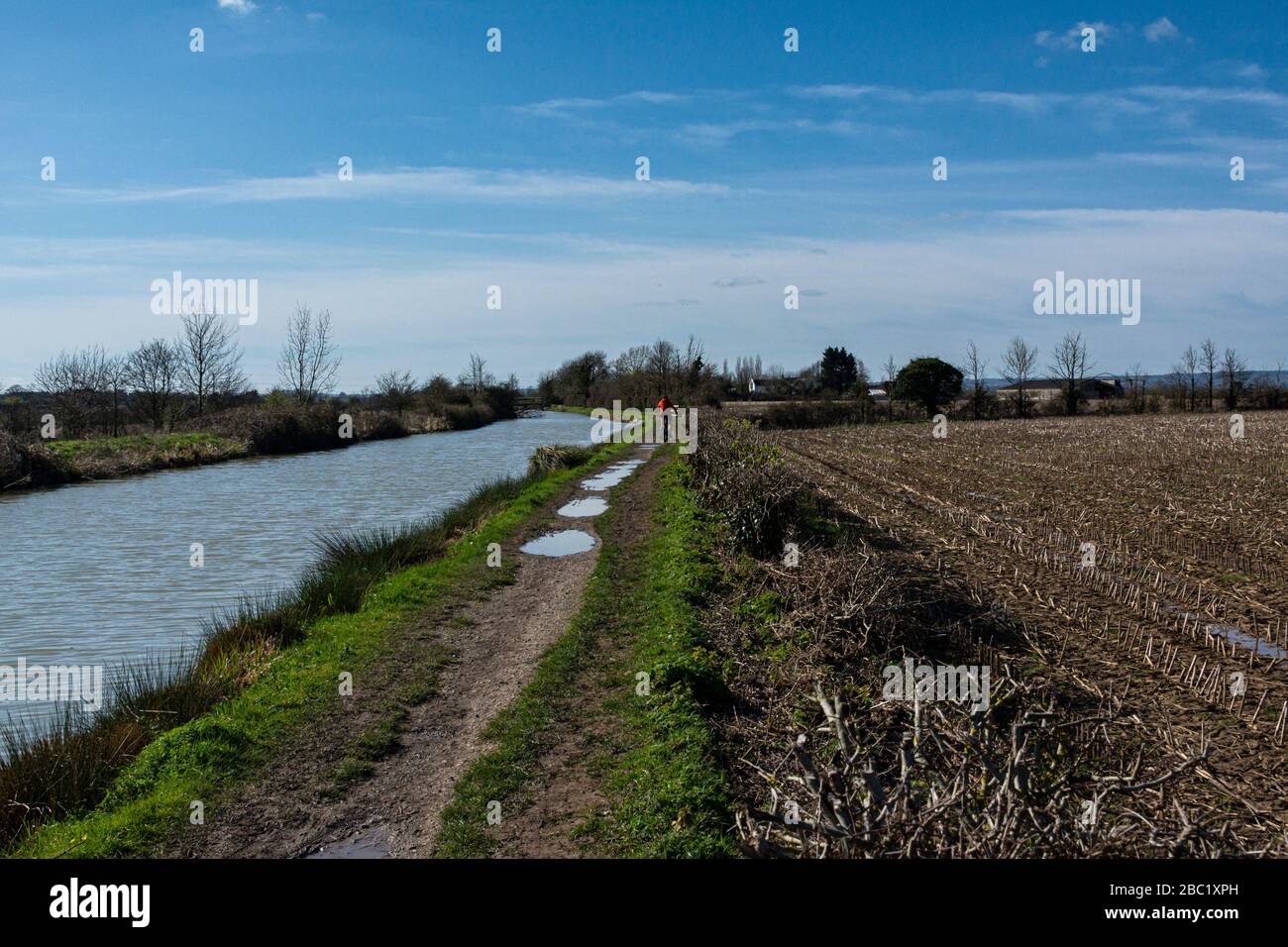 Una donna che pedalò su un torreggiante lungo il canale Kennet & Avon nel Wiltshire Foto Stock