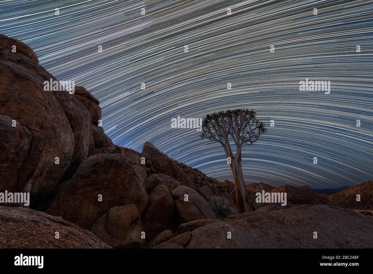 Una bella foto notturna del cielo di un albero faretra incorniciato da montagne rocciose, con sentieri stellari attraverso il cielo e dietro l'albero, preso nel Richter Foto Stock