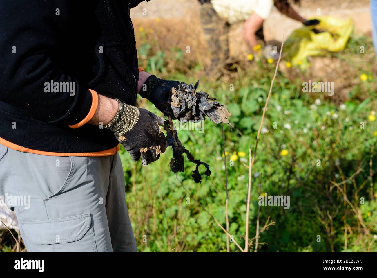 Persone che collaborano nella pulizia di rifiuti di plastica dall'ambiente come bottiglie abbandonate. Foto Stock