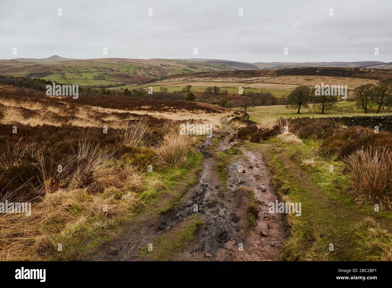 Vista sulla campagna nel Peak District, Regno Unito Foto Stock