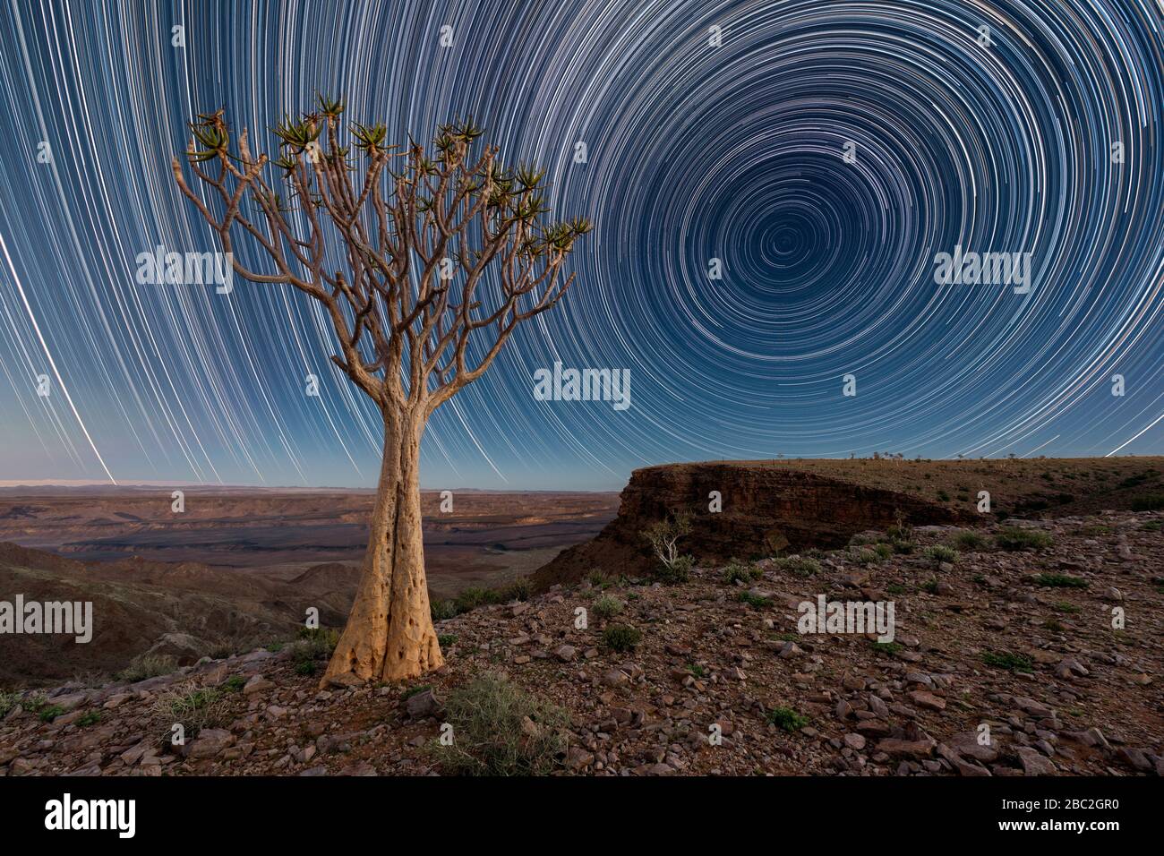 Un paesaggio di cielo notturno preso in cima all'arido e netto Fish River Canyon, Namibia, con un antico albero di quiver in primo piano, e stella circolare Foto Stock