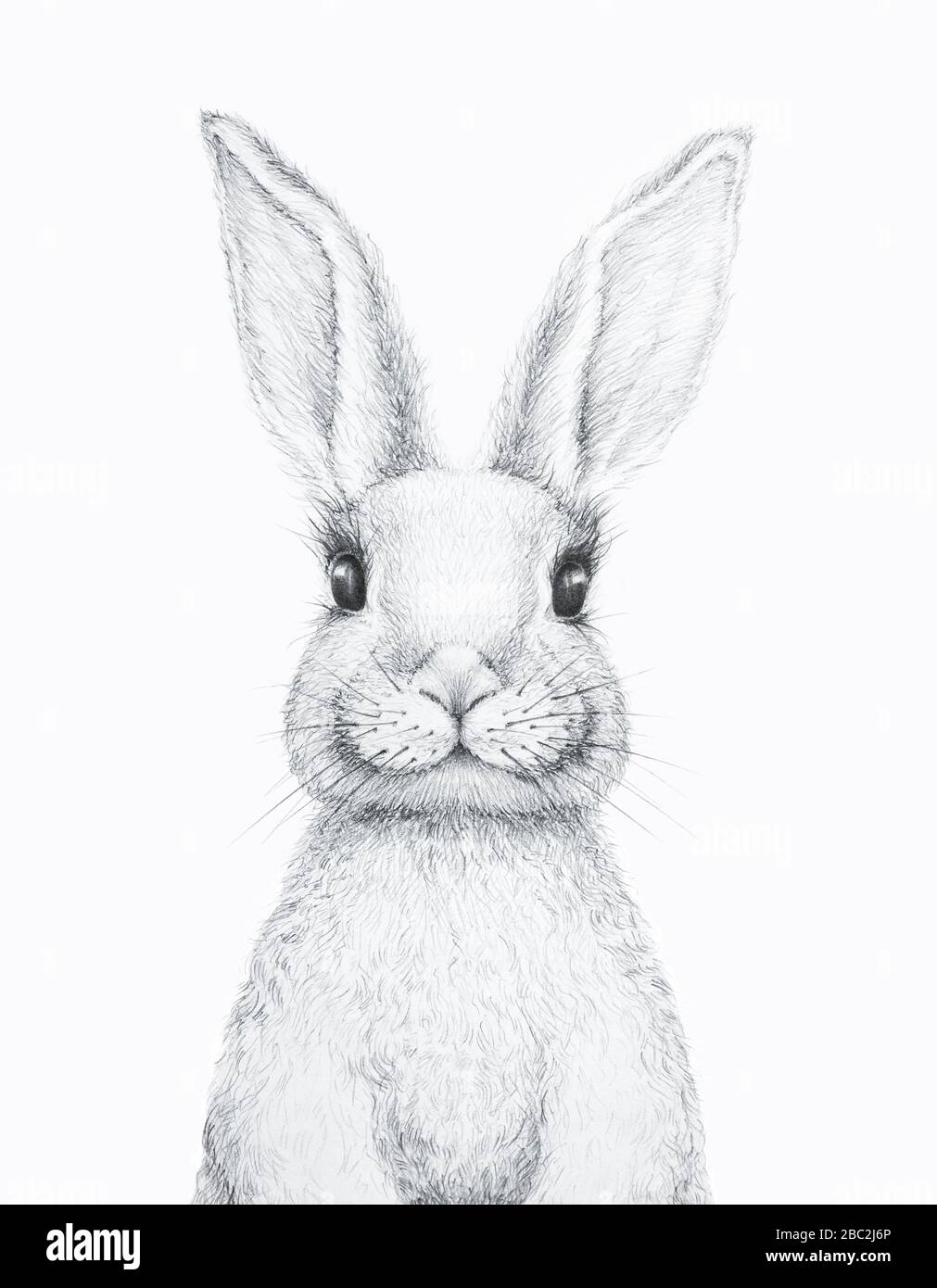 Coniglio di coniglio. Coniglietto di Pasqua. Disegno a matita. Art.Kids Art Gift. Animale forestale. Sfondo bianco Foto Stock