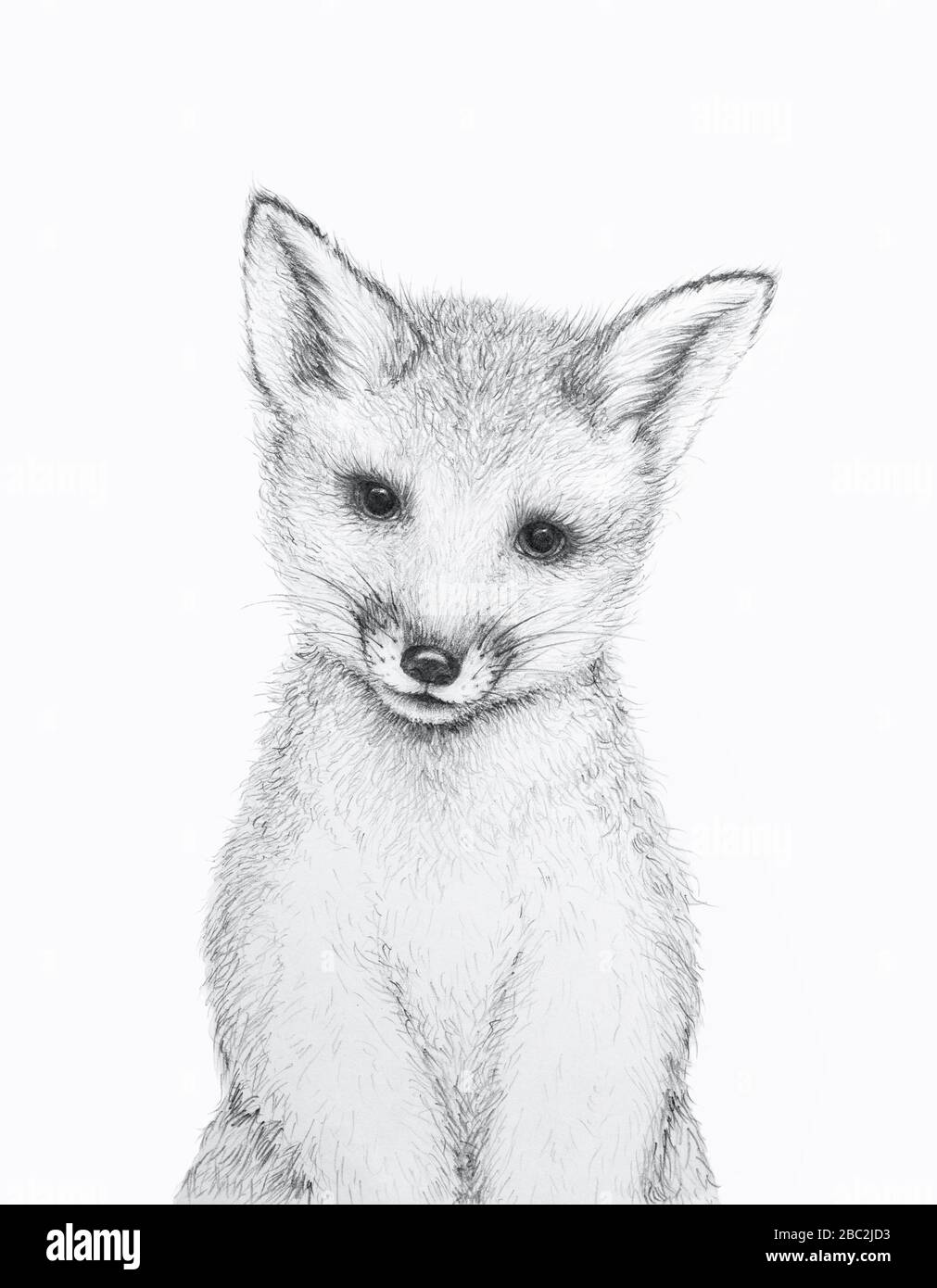 Volpe piccola cute. Disegno a matita. Art.Kids Art Gift. Animale forestale. Sfondo bianco Foto Stock