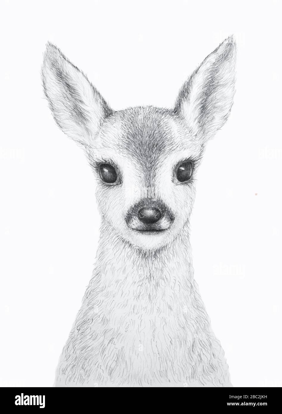 Piccolo Cervo. Disegno a matita. Art.Kids Art Gift. Animale forestale.  Sfondo bianco Foto stock - Alamy