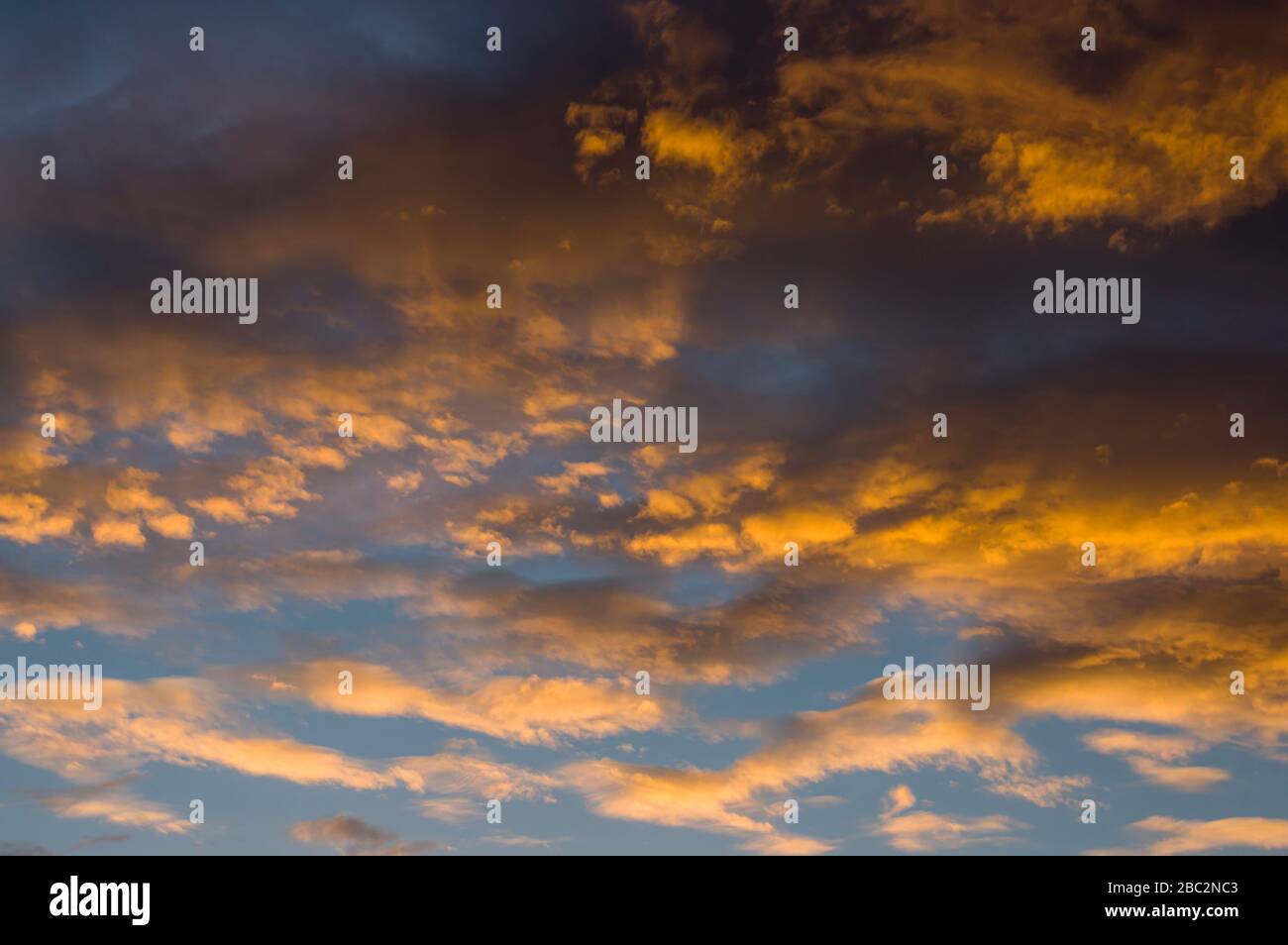 Cielo drammatico nube con nuvole di pioggia scura e nuvole luminose illuminate dal sole basso, incandescente nella sera bagliore prima e dopo una tempesta in Foto Stock