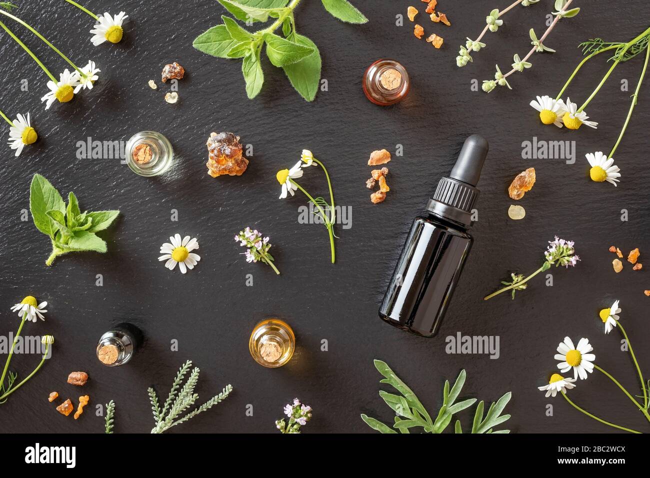 Bottiglie di olio essenziale con incenso, camomilla, origano, maggiorana e altre erbe Foto Stock
