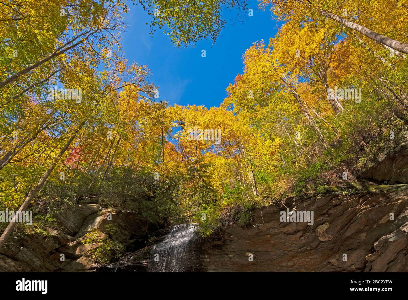 Colori autunnali sulla cima della scogliera sopra le cascate di Moore Cove a Pisgah National Forest nel North Carolina Foto Stock