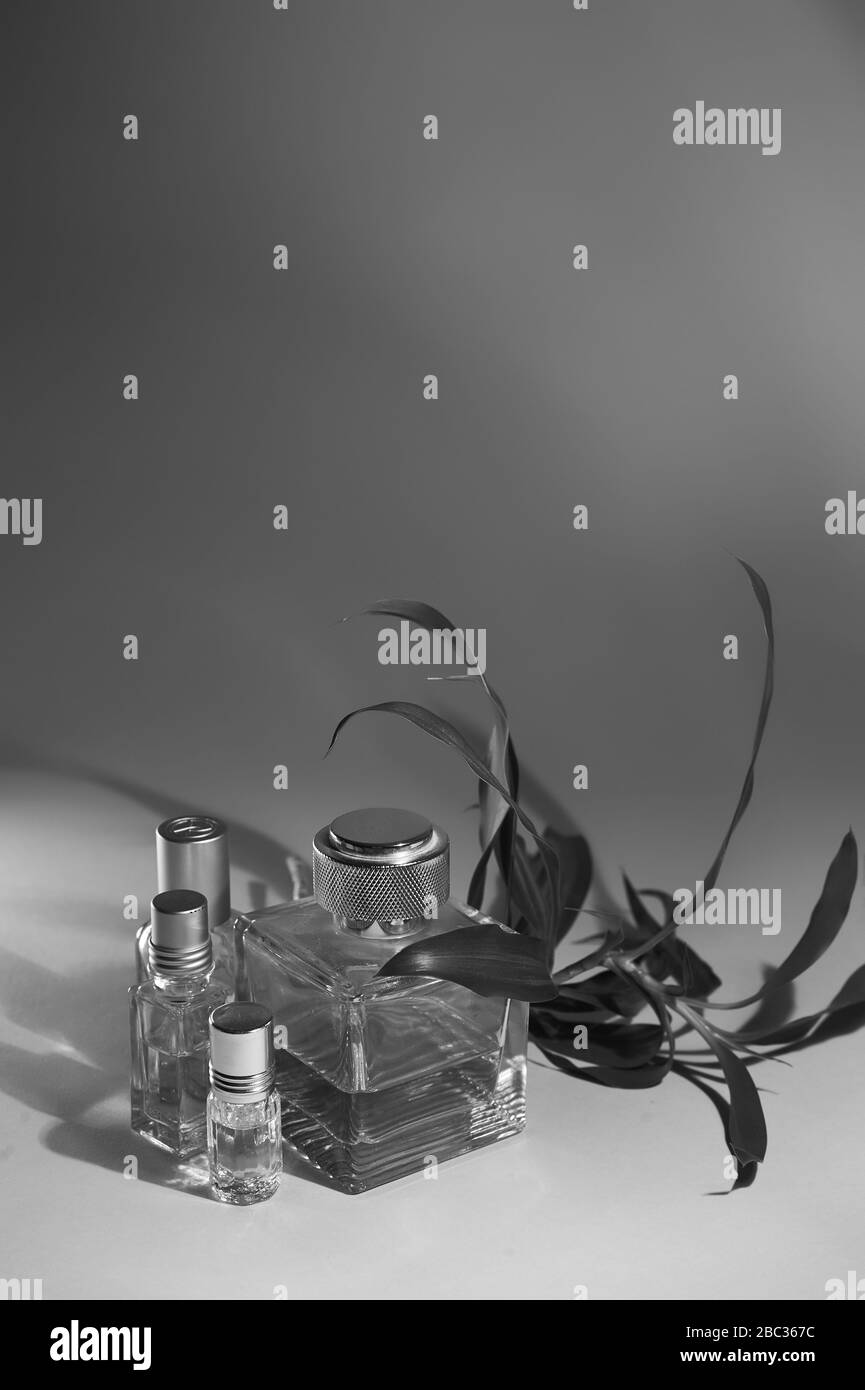 Profumo e olii aromatici. Composizione minimalista. Spazio per il testo. Bianco e nero. Foto Stock