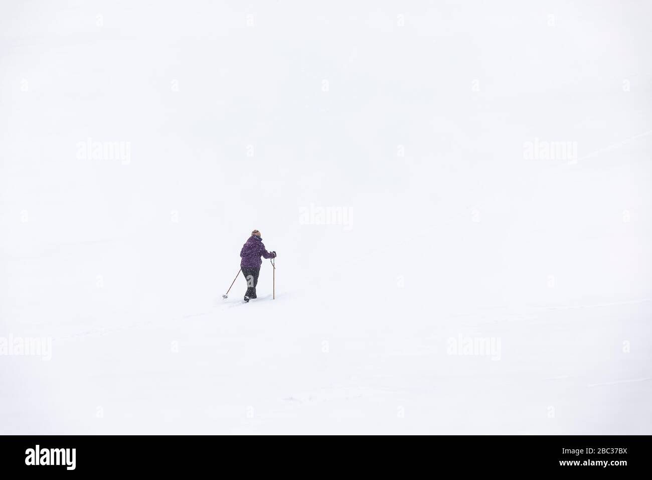 Karen Rentz Sci di fondo in una giornata invernale su un campo da golf nella Canadian Lakes, Michigan, USA Foto Stock