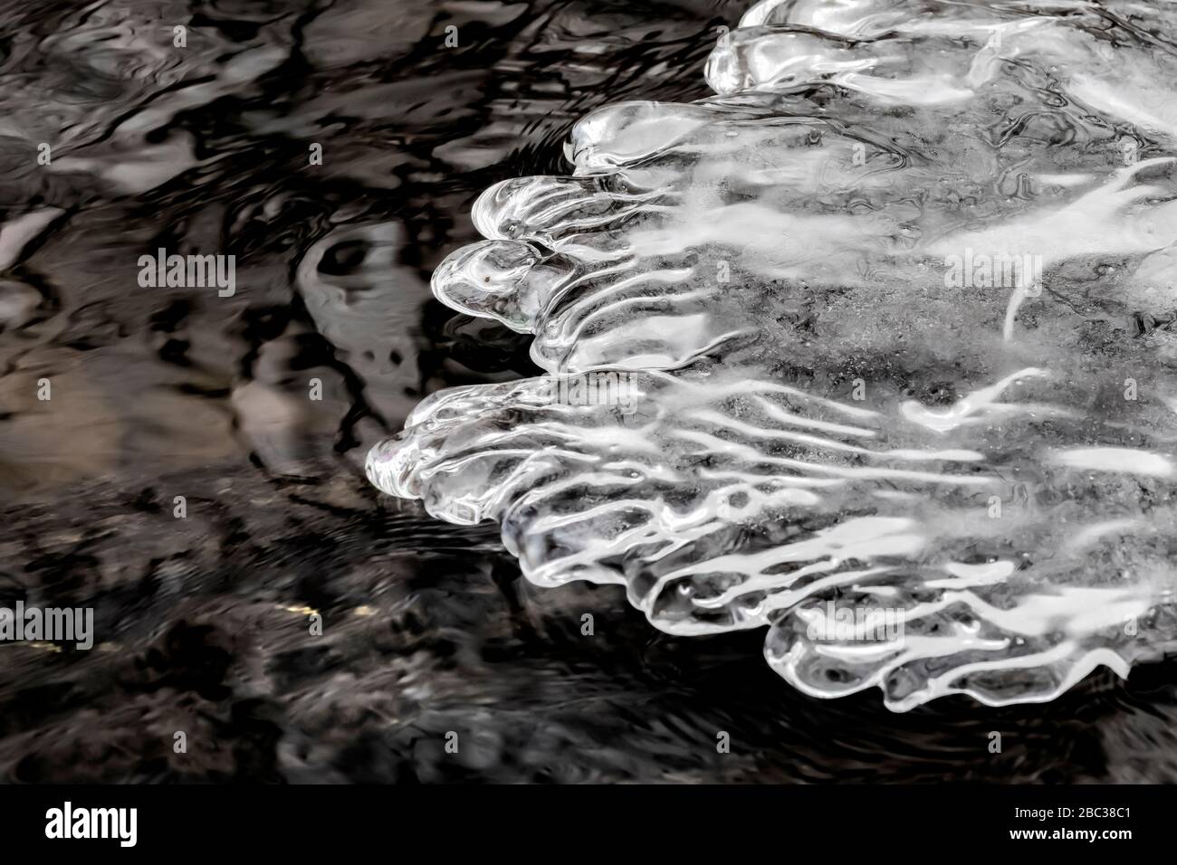 Il ghiaccio si accumula durante un periodo di tempo freddo su rami e tronchi di alberi nel fiume Chippewa, il Parco Naturale di Deerfield, il Monte Pleasant, Michigan, U. Foto Stock