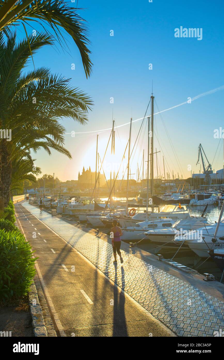 Jogging lungo il percorso ciclabile al Sunrise Paseo Maritimo con porto e Cattedrale, Palma de Mallorca, Baleari, Spagna Foto Stock