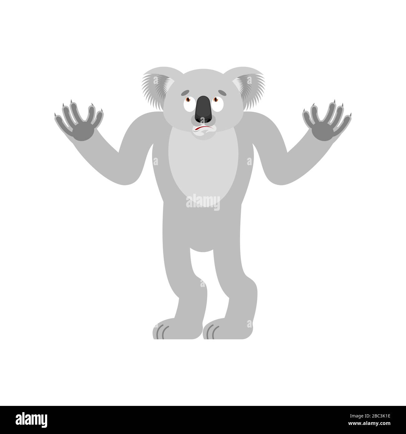 Koala confuso. l'orso di koala perplesso. Bestia sorpresa. Illustrazione del vettore Illustrazione Vettoriale