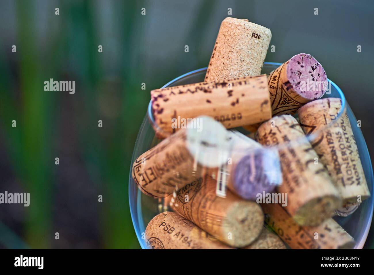 Immagine astratta di un bicchiere di vino pieno di tappi di bottiglie di vino. Foto Stock