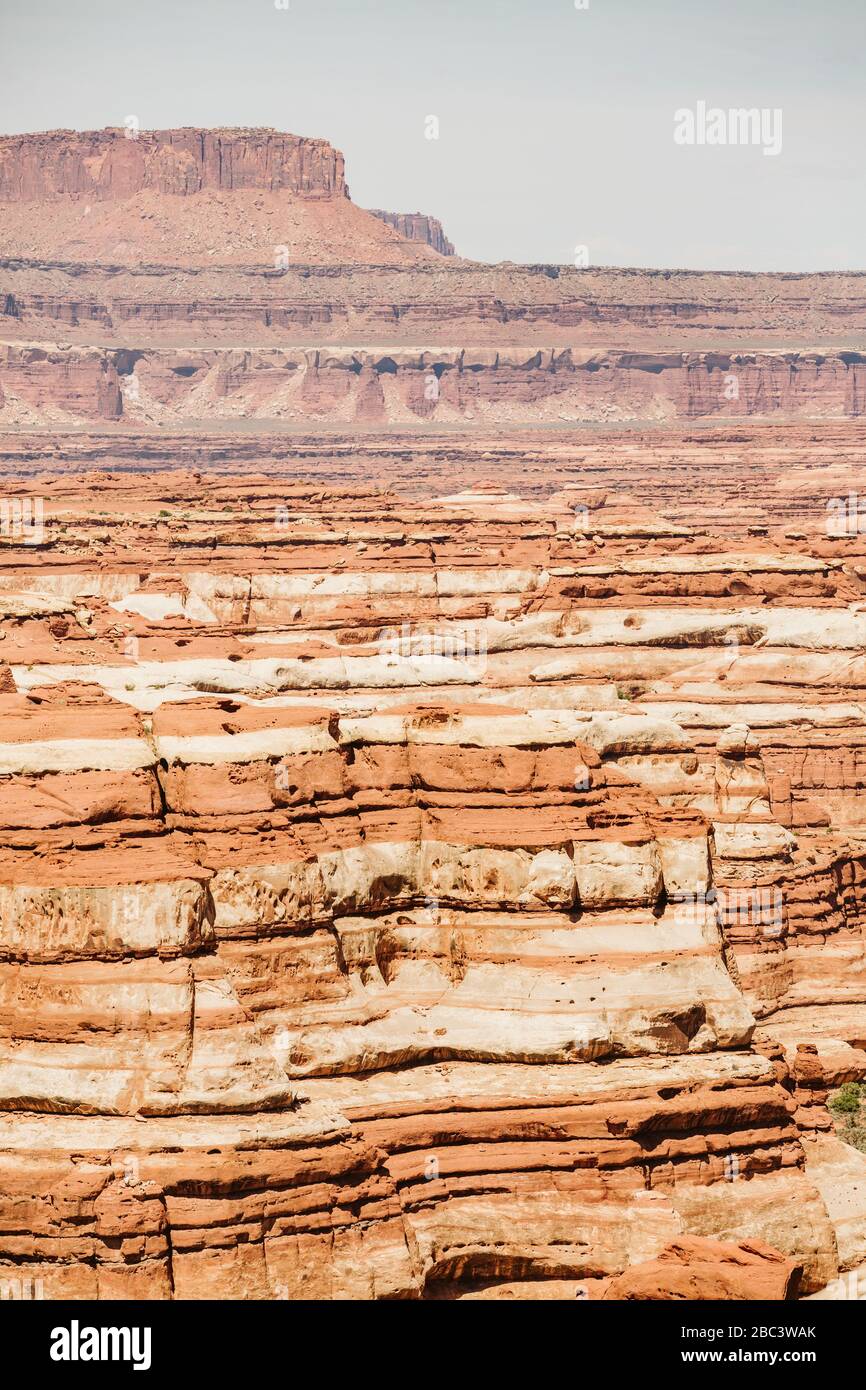 strati di canyon di arenaria rossa e bianca del labirinto utah Foto Stock