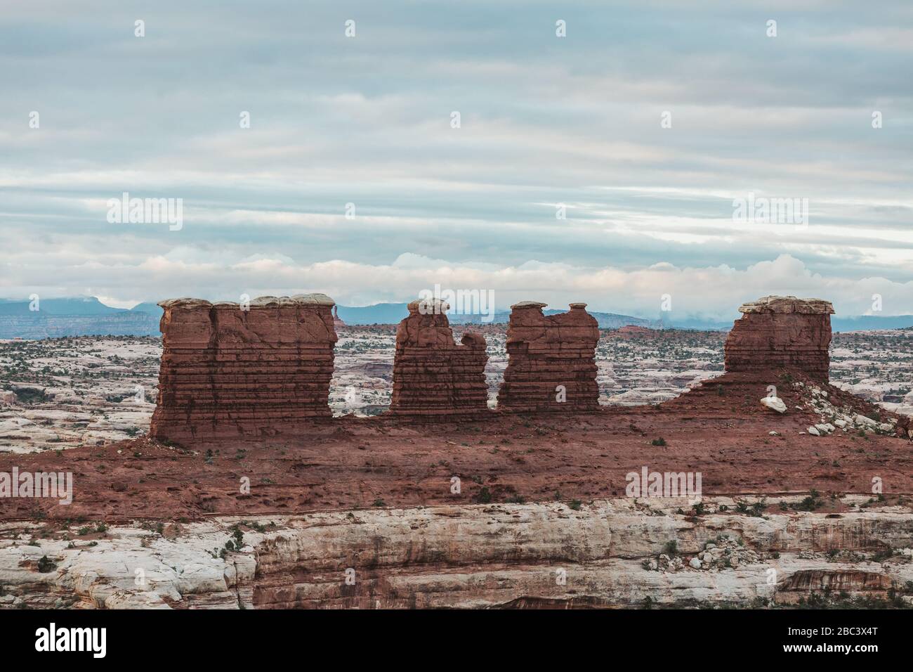 Formazione di roccia di arenaria conosciuta come le gocce di cioccolato nel labirinto Foto Stock