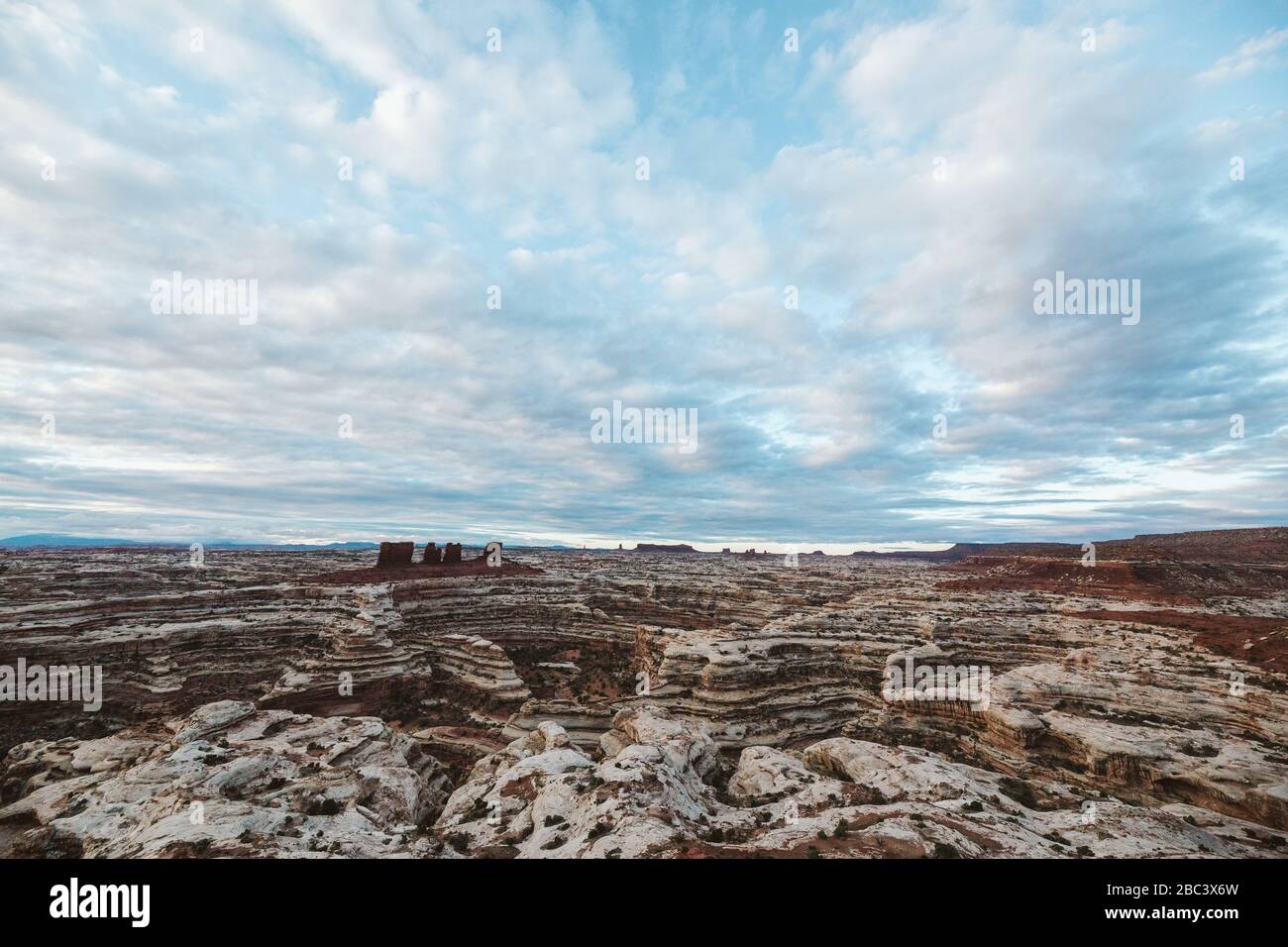 Guardando verso il basso i canyon del labirinto nel deserto di canyonlands utah Foto Stock