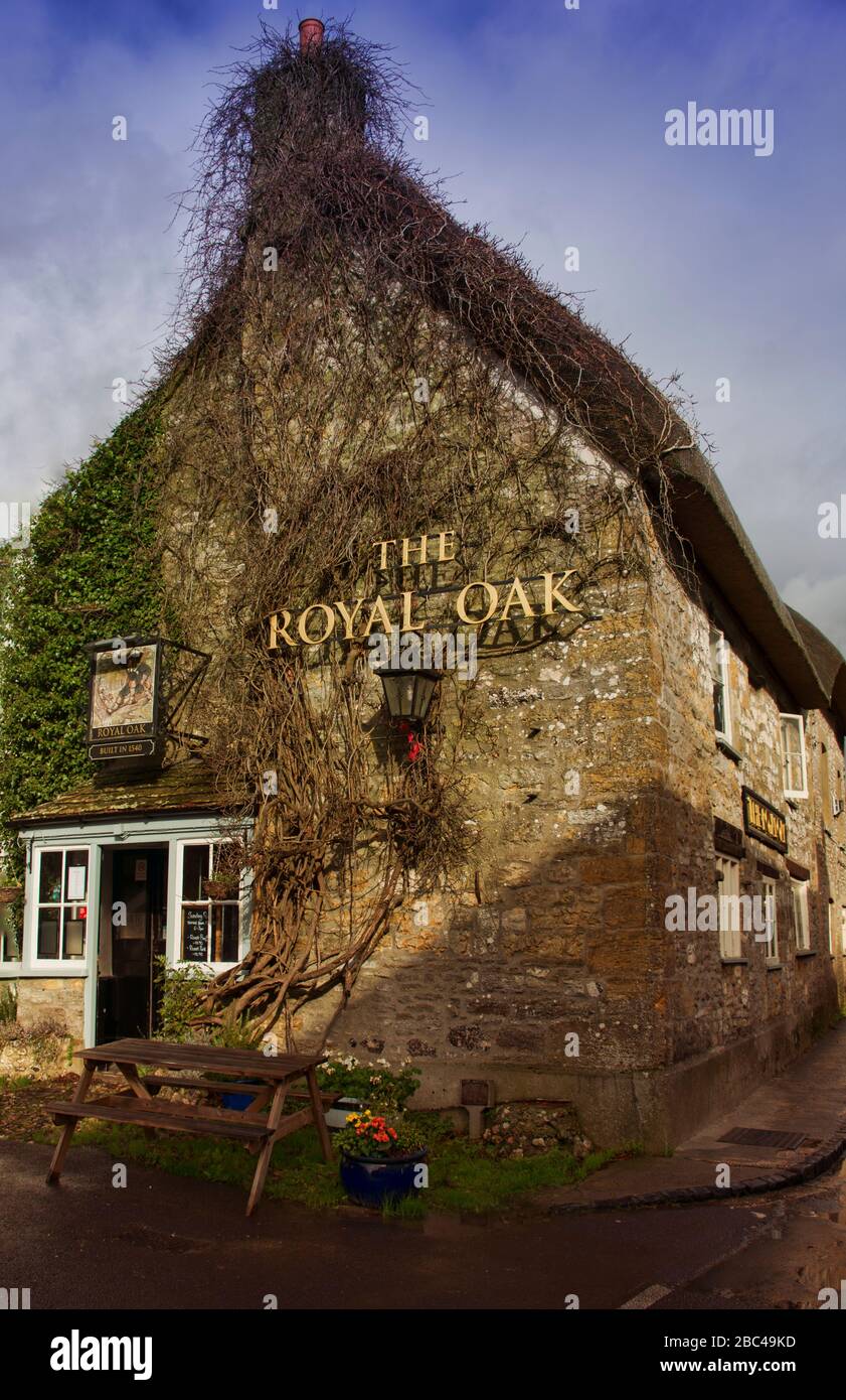 Bella e antica casa indipendente con tetto di paglia di cottage di campagna nel villaggio di Ashmore, Dorset, Inghilterra, Regno Unito in estate Foto Stock