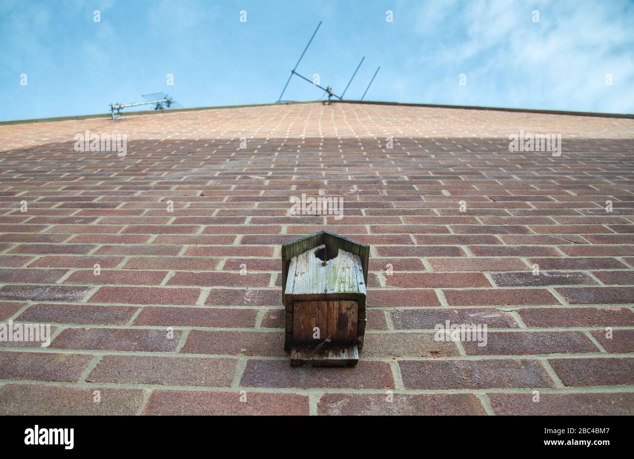 Vista ad angolo basso os una piccola casa di uccello di legno, apparentemente inutilizzato e stagionato, attaccato ad una grande parete esterna di mattoni di una tipica casa indipendente in Th Foto Stock