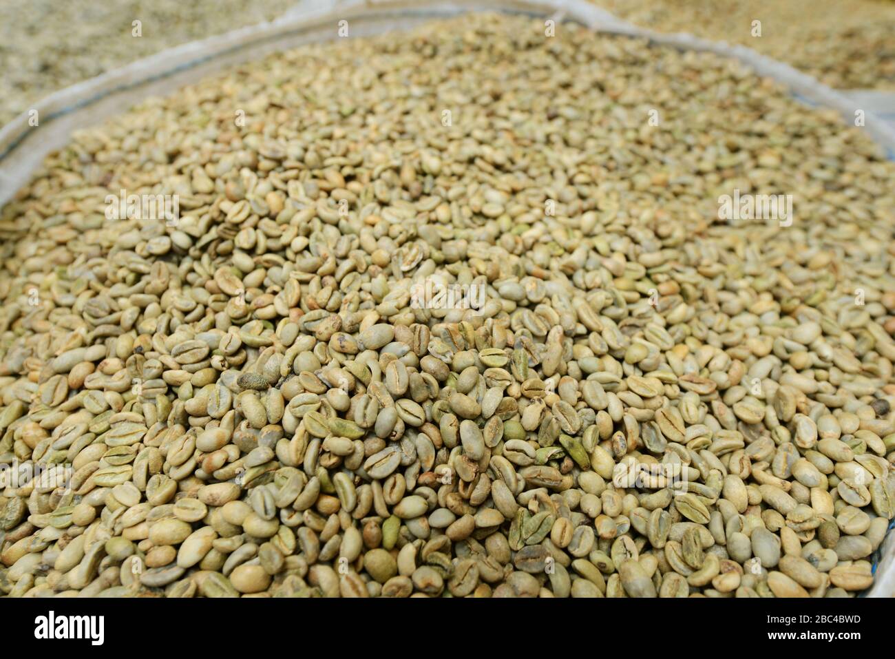 Chicchi verdi di caffè in vendita presso il mercato in Etiopia ad Addis Abeba. Foto Stock