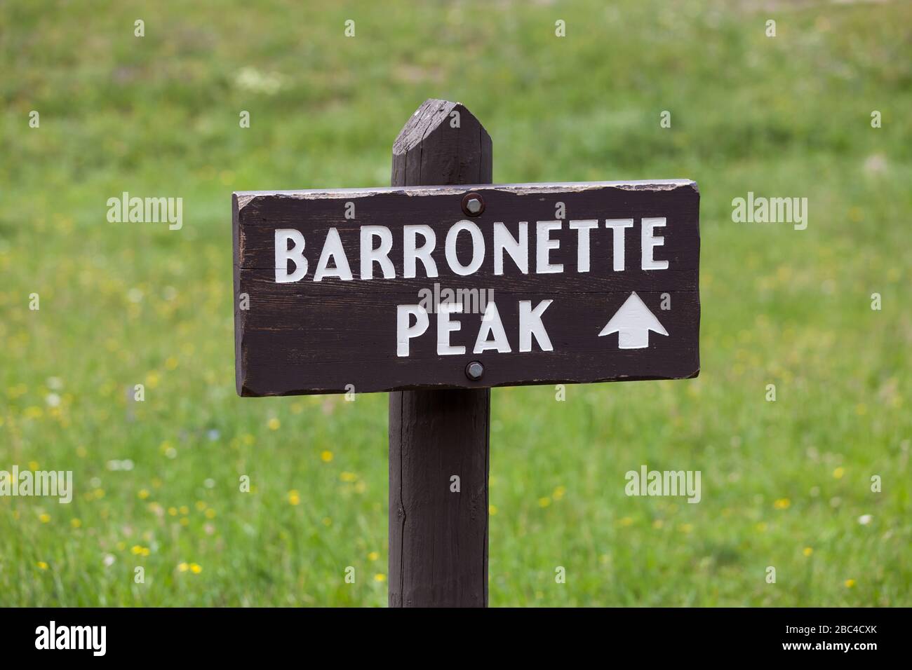 Un piccolo segno di legno con una freccia che mostra la direzione Barronette picco è a Yellowstone National Park, Wyoming. Foto Stock