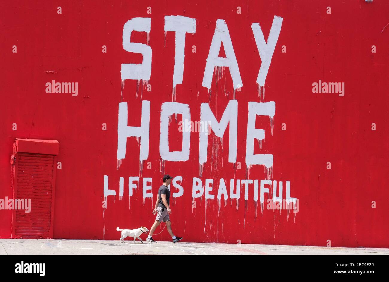 Los Angeles, California, Stati Uniti. 2nd Apr, 2020. Un uomo cammina il suo cane oltre un murale il 2 aprile 2020 a Los Angeles. Il sindaco di Los Angeles Eric Garcetti sta consigliando al pubblico di indossare qualsiasi tipo di copertura protettiva del viso quando esce -- anche una sciarpa o altro capo di abbigliamento -- per ridurre la diffusione del coronavirus. Credito: Ringo Chiu/ZUMA Wire/Alamy Live News Foto Stock