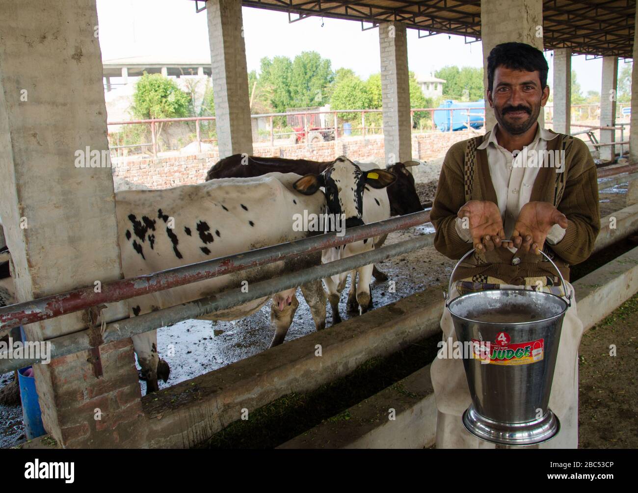 L'operaio agricolo Jamal detiene un secchio di cowmilk nella sezione casearia delle fattorie di Kasur Agri in Kasur, Pakistan. Foto Stock