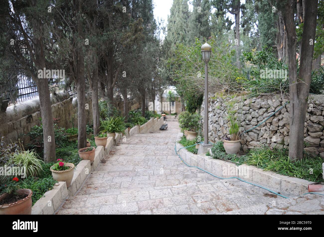 Pellegrinaggio – Israele: Il Giardino del Getsemani, Gerusalemme Foto Stock