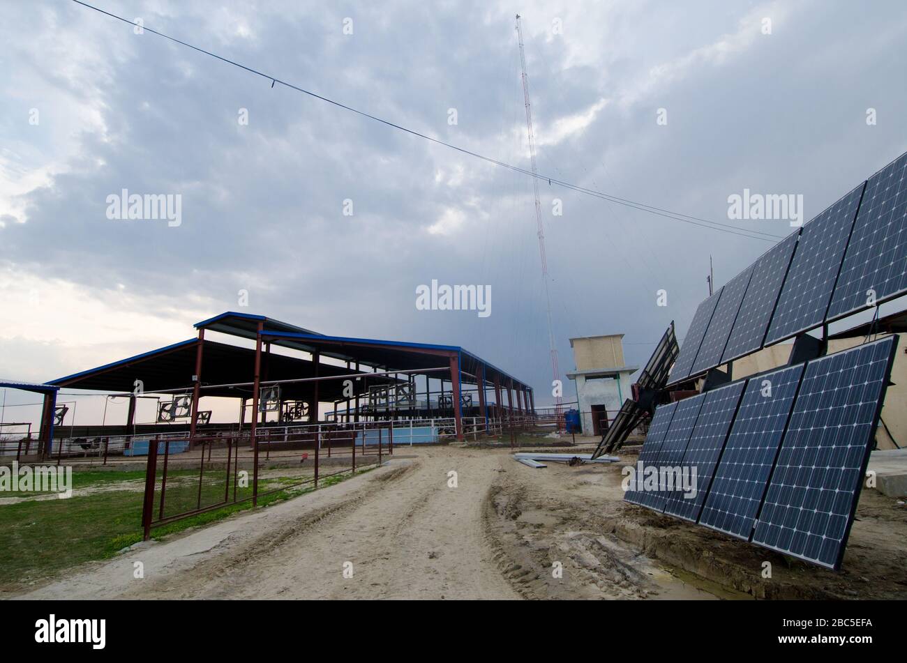 Un caseificio a Nowshehra, provincia di KPK in Pakistan, che utilizza la tecnologia moderna, tra cui l'energia solare, l'etichettatura degli animali, i sistemi di scarico. Foto Stock Un caseificio a Nowshehra, provincia di KPK in Pakistan, che utilizza la tecnologia moderna, tra cui l'energia solare, l'etichettatura degli animali, i sistemi di scarico. Foto Stock