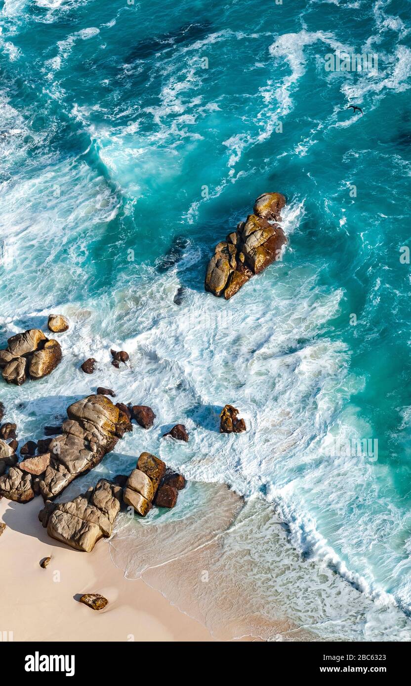 Sud Africa, Capo Ovest, Table Mountain National Park, il Capo di buona speranza Foto Stock