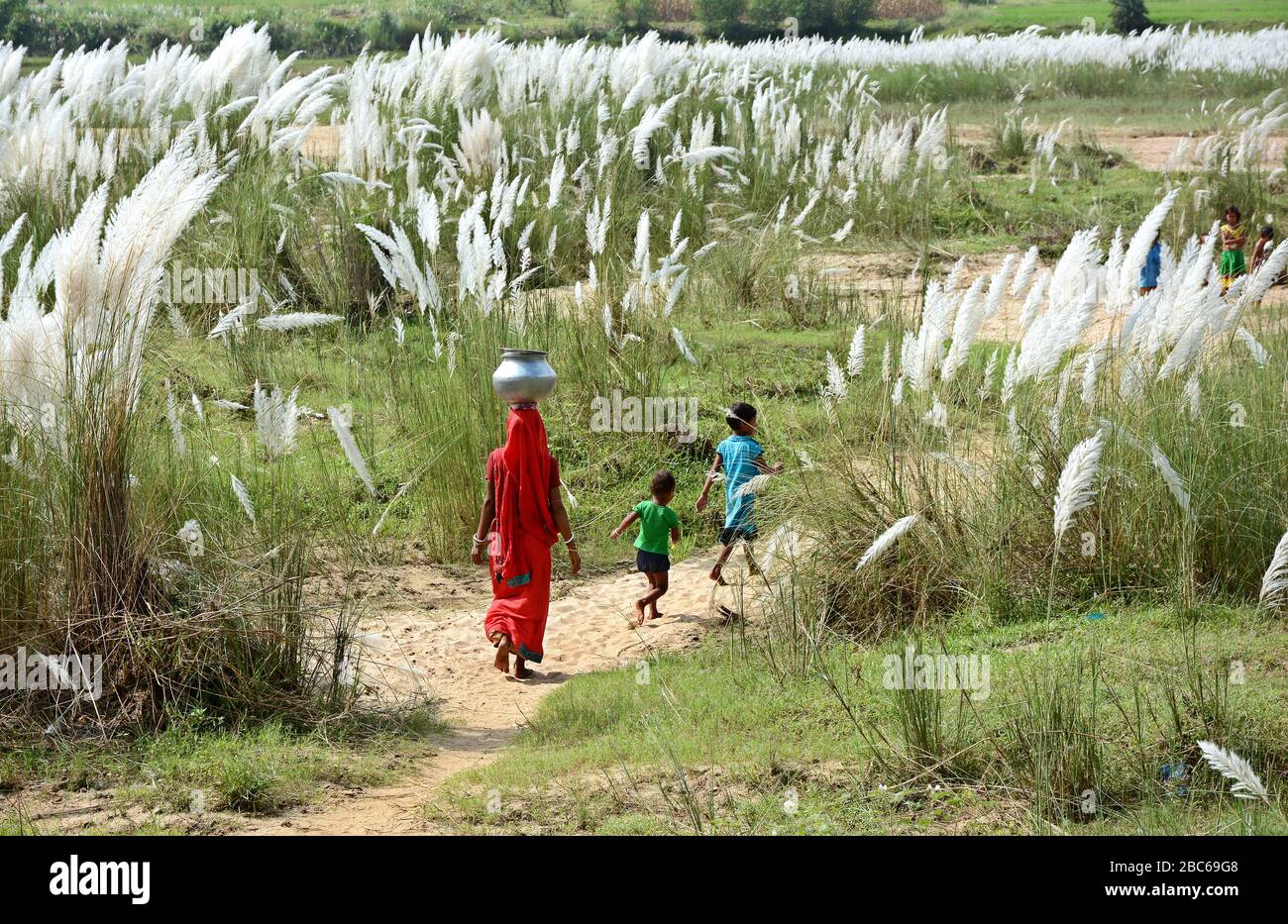 La madre che trasporta l'acqua potabile lontano via con i loro bambini di saccarina spontanea o erba di Kans localmente conosciuta come il galleggiante di Kash all'India. Foto Stock