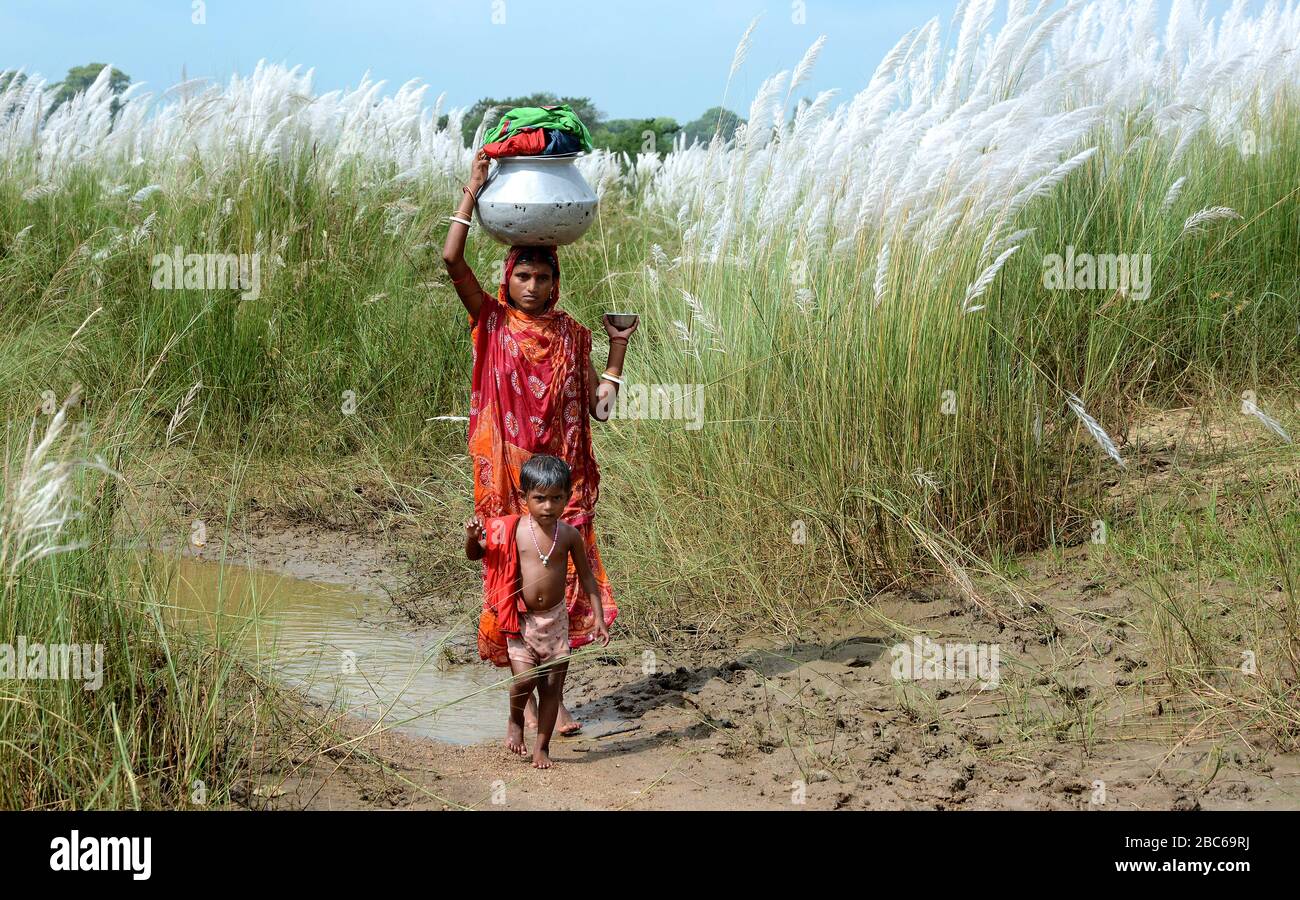 La madre che trasporta l'acqua potabile lontano via con i loro bambini di saccarina spontanea o erba di Kans localmente conosciuta come il galleggiante di Kash all'India. Foto Stock