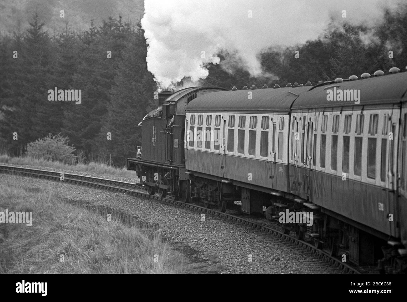 North Yorkshire Moors Railway treno a vapore, North Yorkshire, Inghilterra Foto Stock