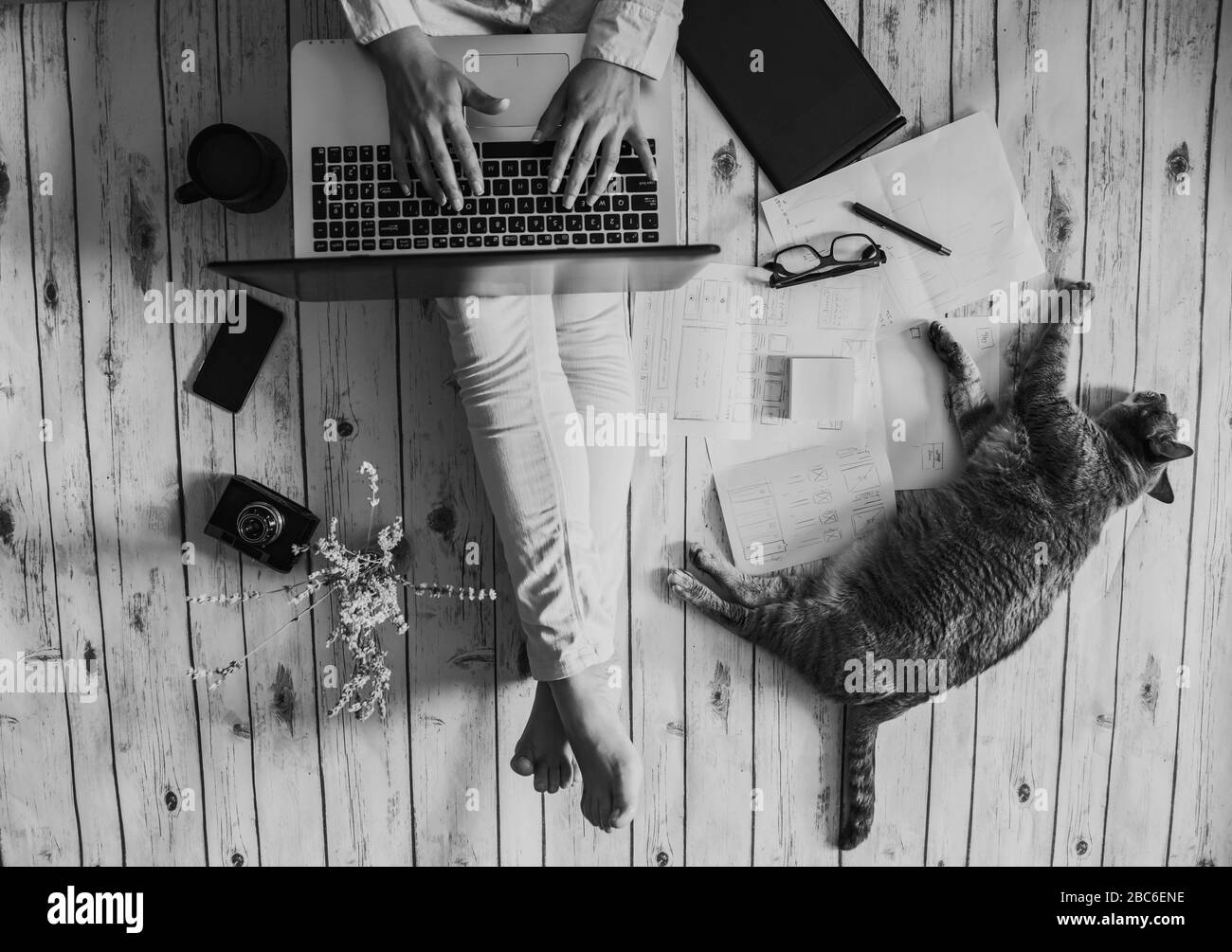 area di lavoro accogliente - ragazza che lavora con il suo gatto da casa Foto Stock