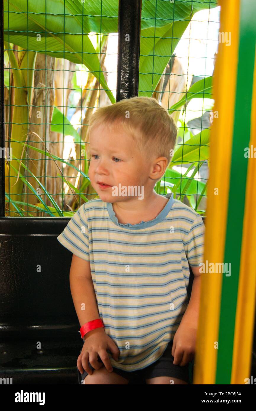 Un bambino di tre anni fa si muove in un trenino verde-giallo per bambini in un parco divertimenti in Riviera, Sochi, di fronte allo spettatore. Riposo, tropici, riposo, attivazione. Foto verticale Foto Stock