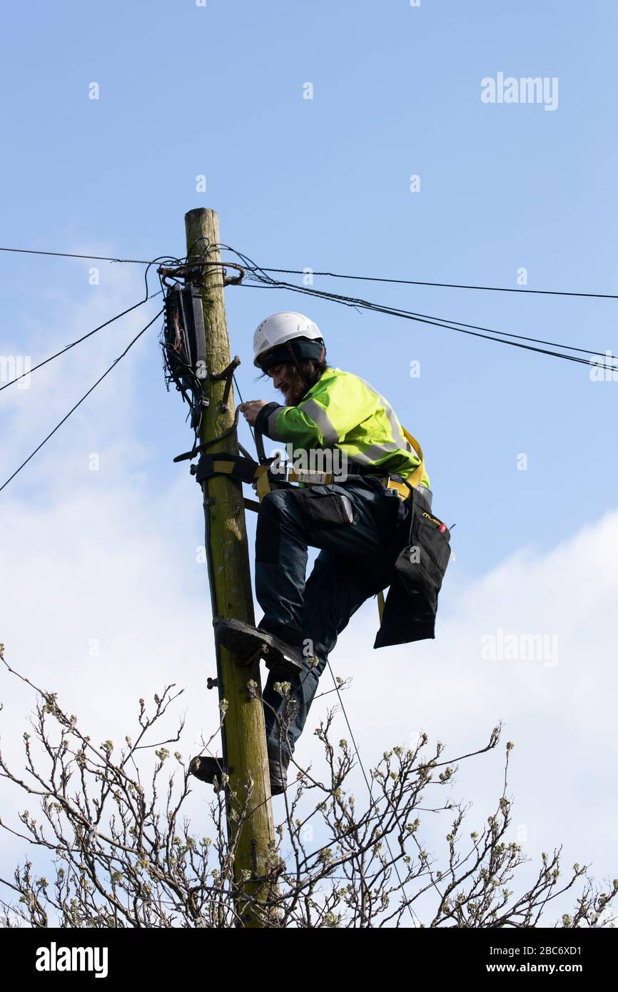 Tecnico di campo Telecom che sale su un palo telegrafico ed esegue la manutenzione delle linee telefoniche domestiche Foto Stock
