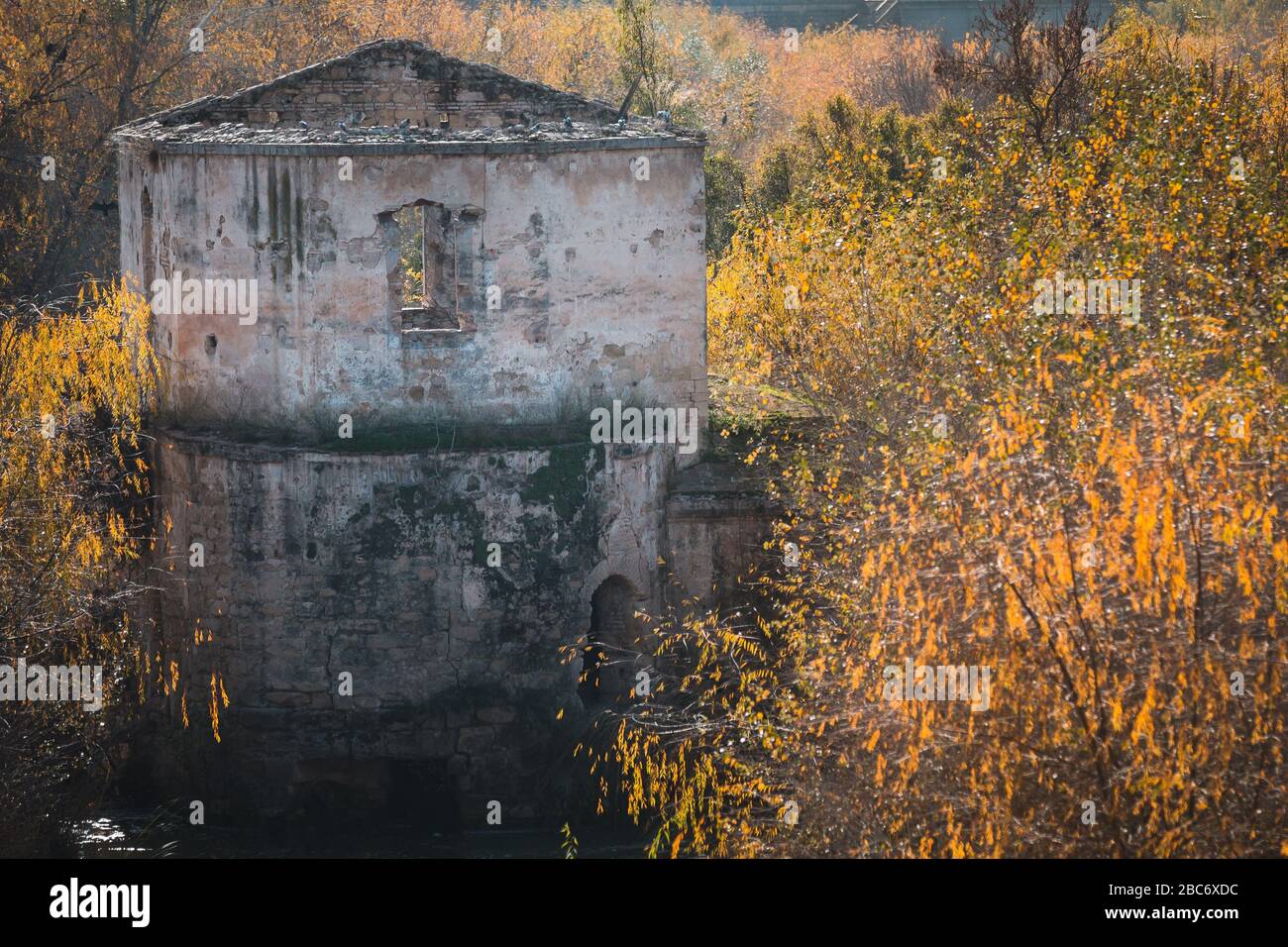 Edificio abbandonato nella zona rurale presso il fiume Guadalquivir a Cordoba, Spagna Foto Stock