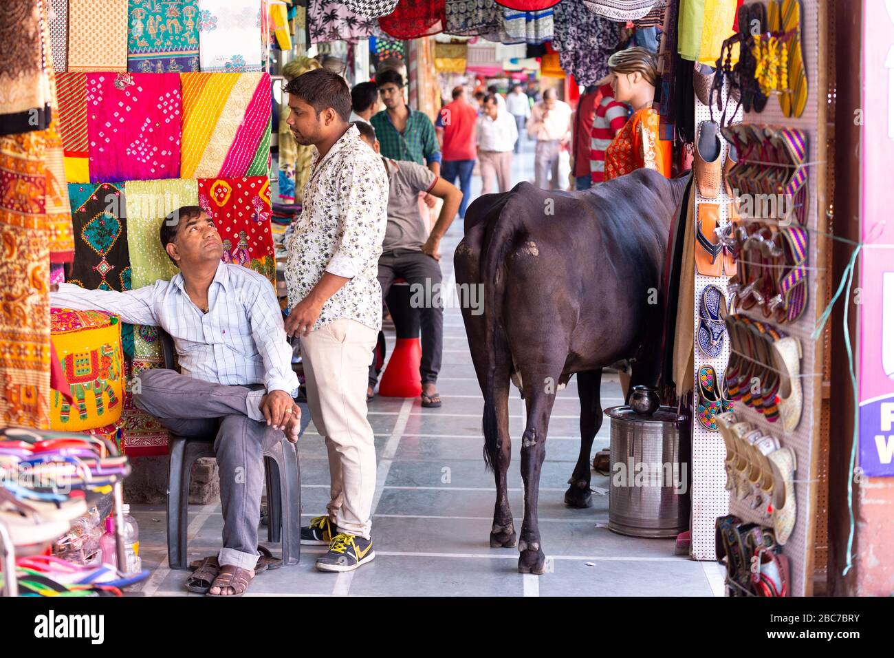 Mucca che passa attraverso un mercato coperto in Jaipur, India Foto Stock