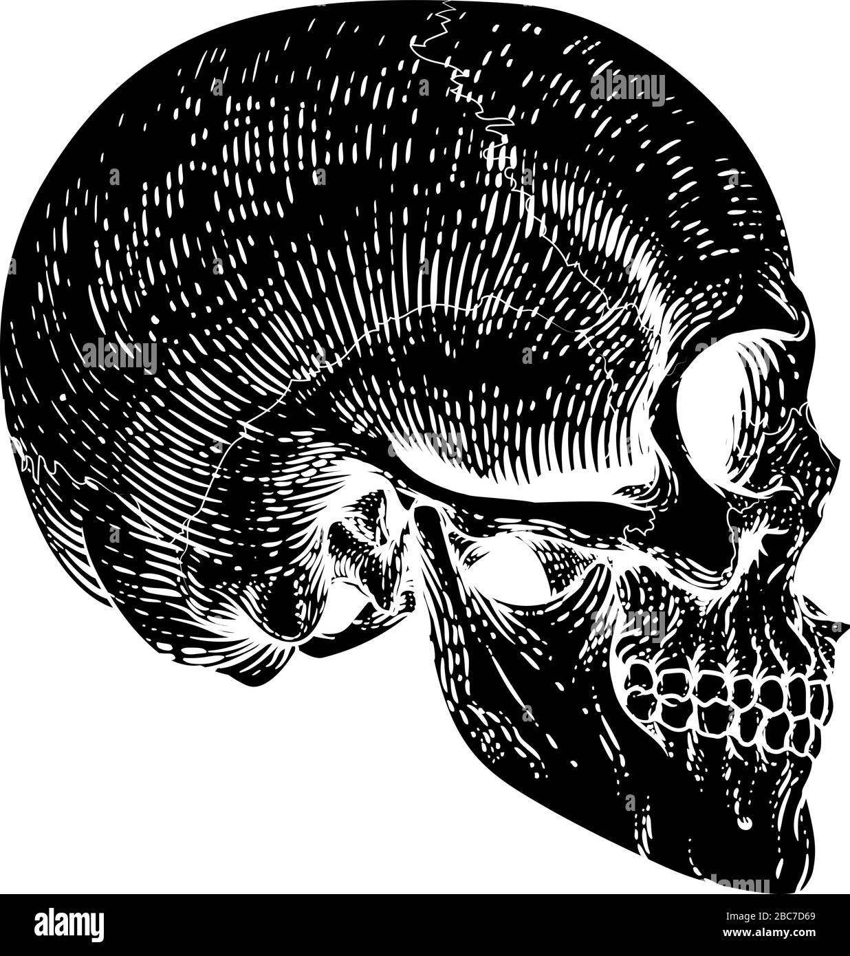 Cranio Grim Reaper Vintage xilografia illustrazione Illustrazione Vettoriale
