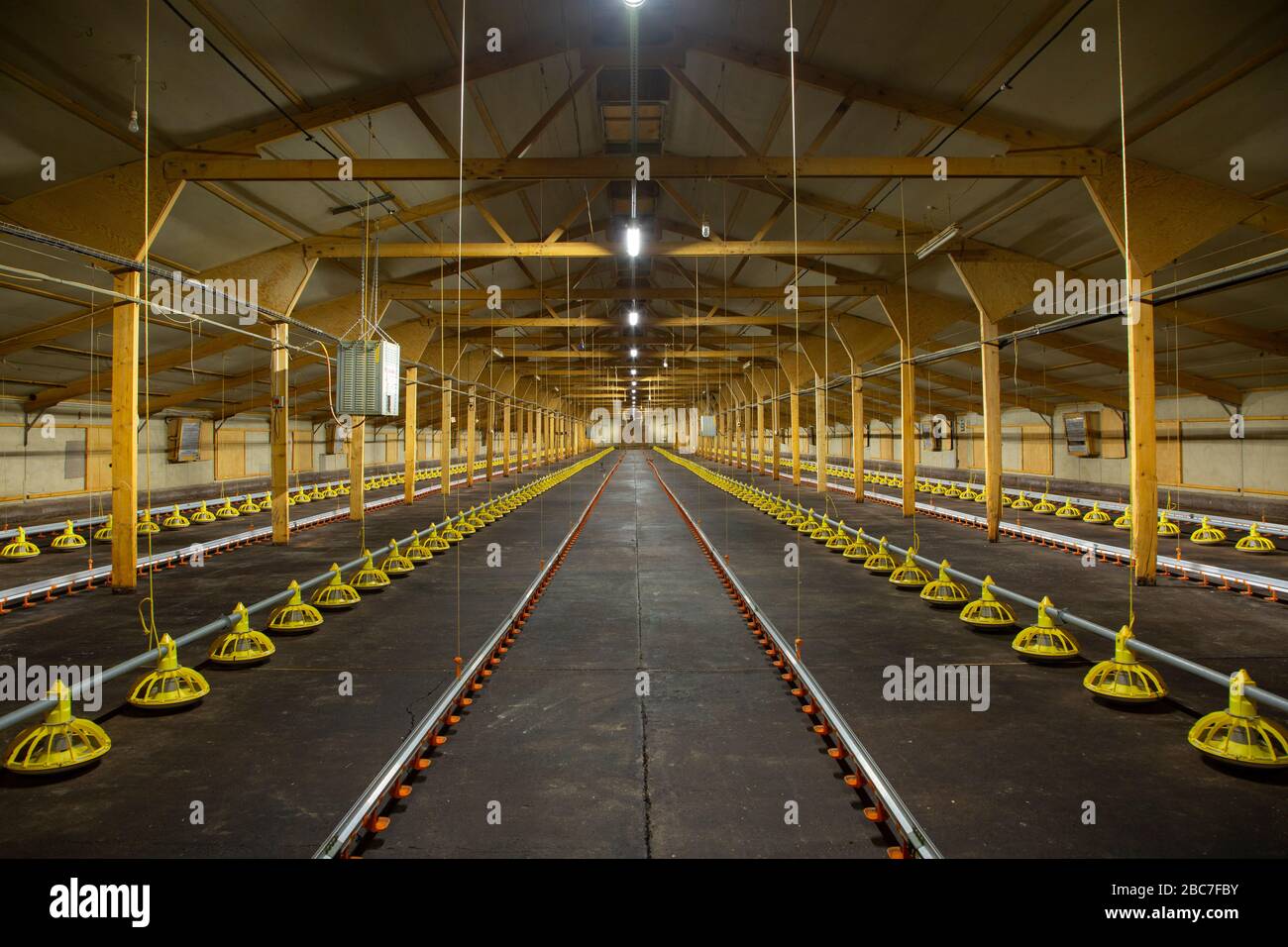Vista interna di un vuoto Industrial Chicken Shed Foto Stock