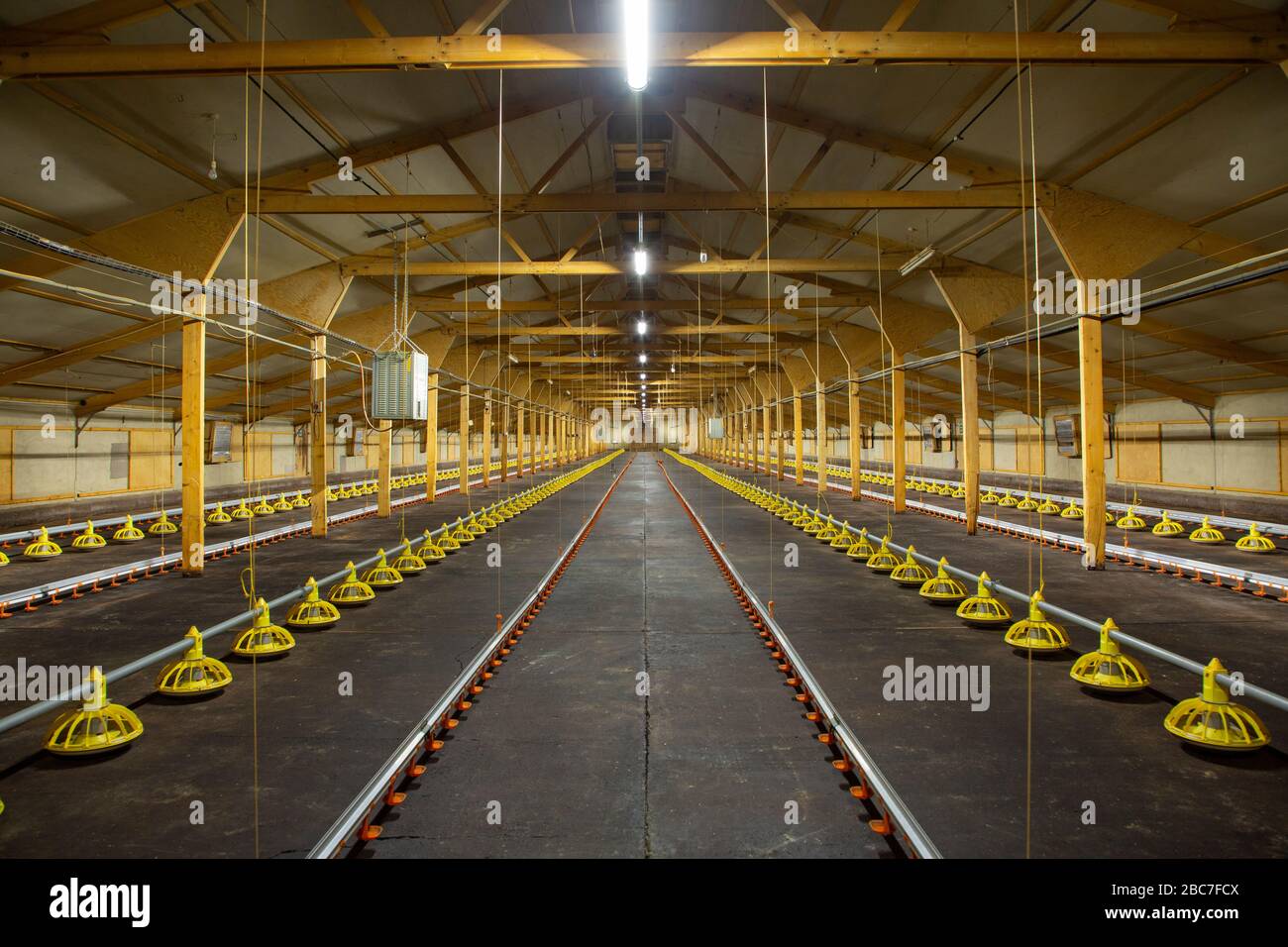 Vista interna di un vuoto Industrial Chicken Shed Foto Stock