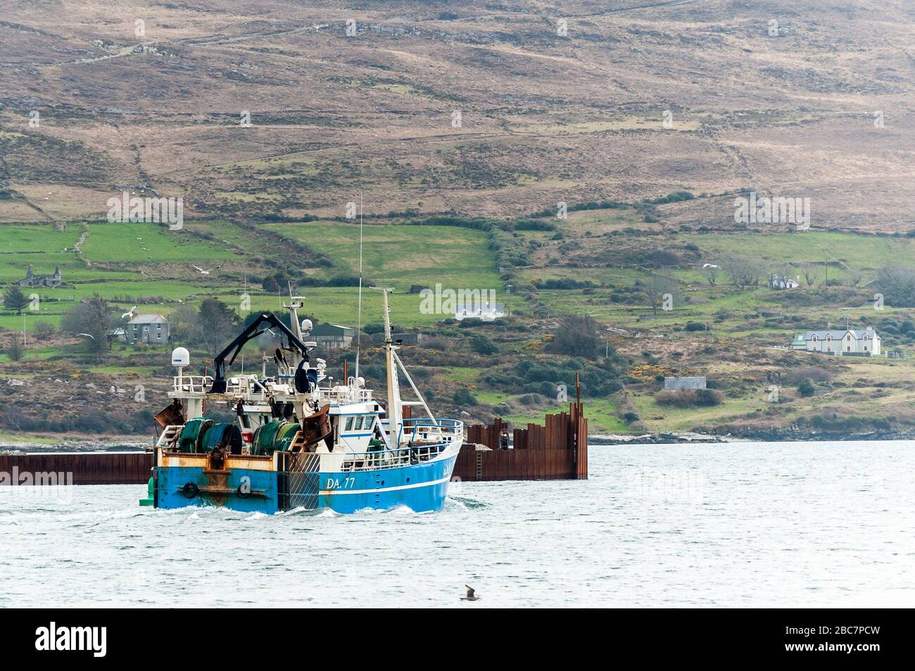 Castletownbere, West Cork, Irlanda. 3rd Apr, 2020. Una nave da pesca naviga verso le zone di pesca dal porto di Castletownbere. Questo è nonostante i pescatori che hanno regalato alla gente del posto 4.000 € di pesce pescato freshy lo scorso fine settimana. Credito: Andy Gibson/Alamy Live News Foto Stock