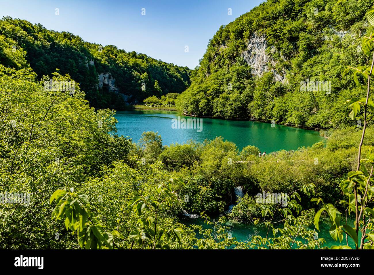 Vista su un lago da un sentiero sul lago nel Parco Nazionale dei Laghi di Plitvice, Croazia, Europa. Foto Stock