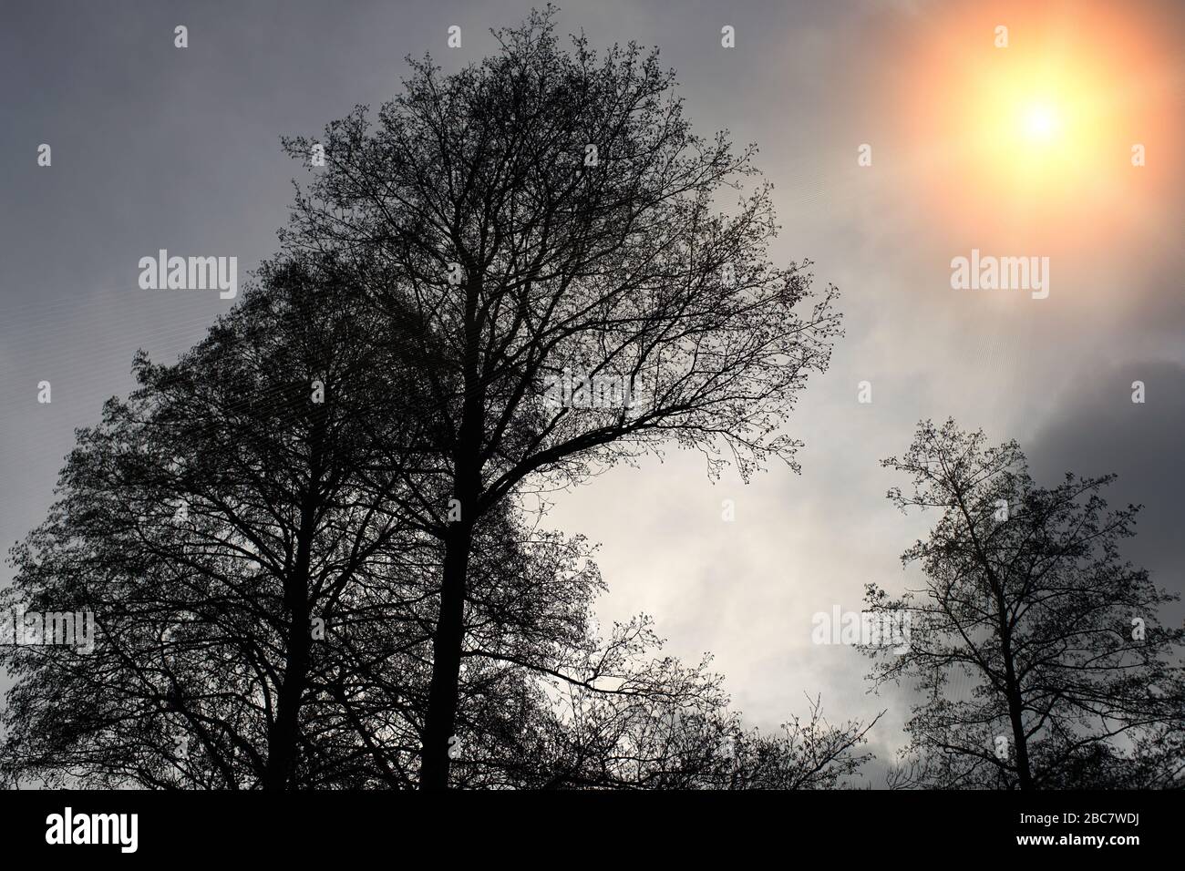 I riflessi delle lenti nella fotografia paesaggistica sono in parte destinati alla post-elaborazione Foto Stock