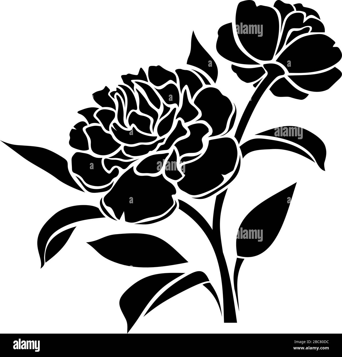 Silhouette vettoriale nera di fiori di peonia isolata su sfondo bianco. Illustrazione Vettoriale