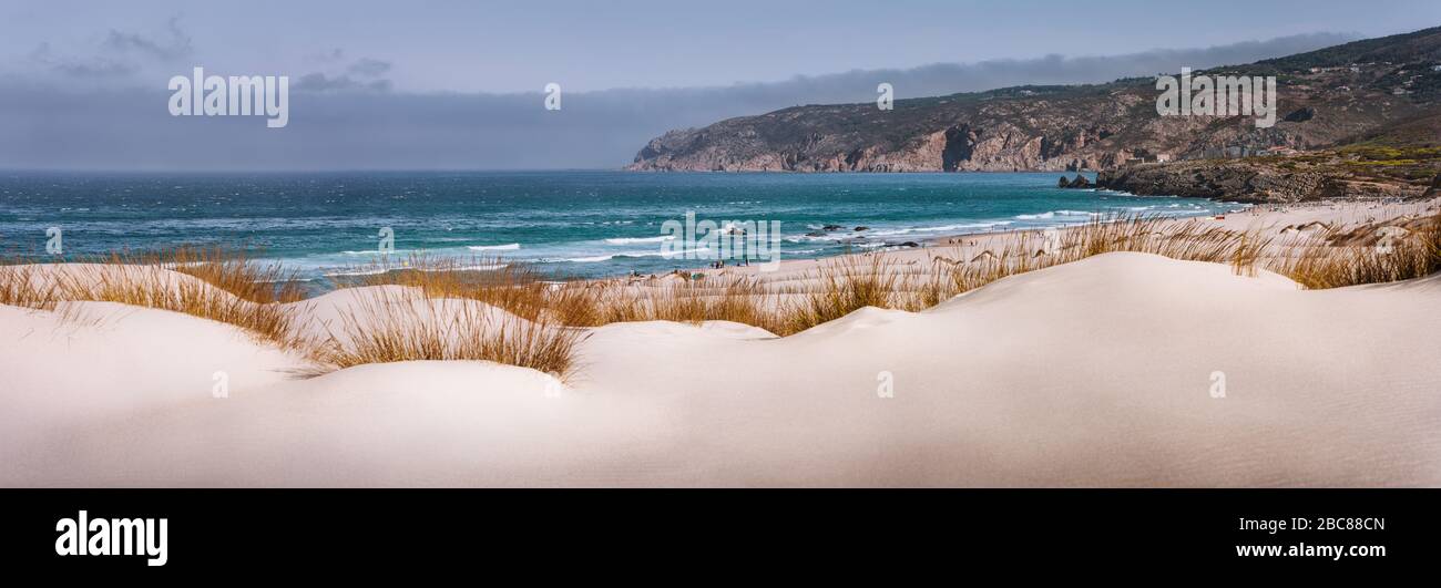 Panoramica vista costiera di Praia do Guincho spiaggia con dune Cresmina in primo piano. Cascais, Portogallo. Oceano atlantico spot per surf e windsurf Foto Stock