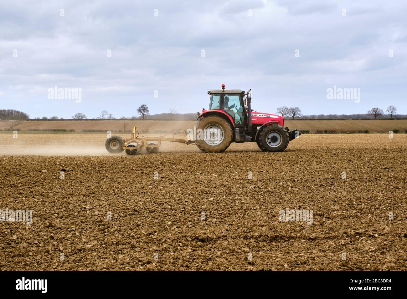 Trattore Massey Fergusson 7480 con rulli Cambridge, perforazione a molla per consolidare il terreno Foto Stock