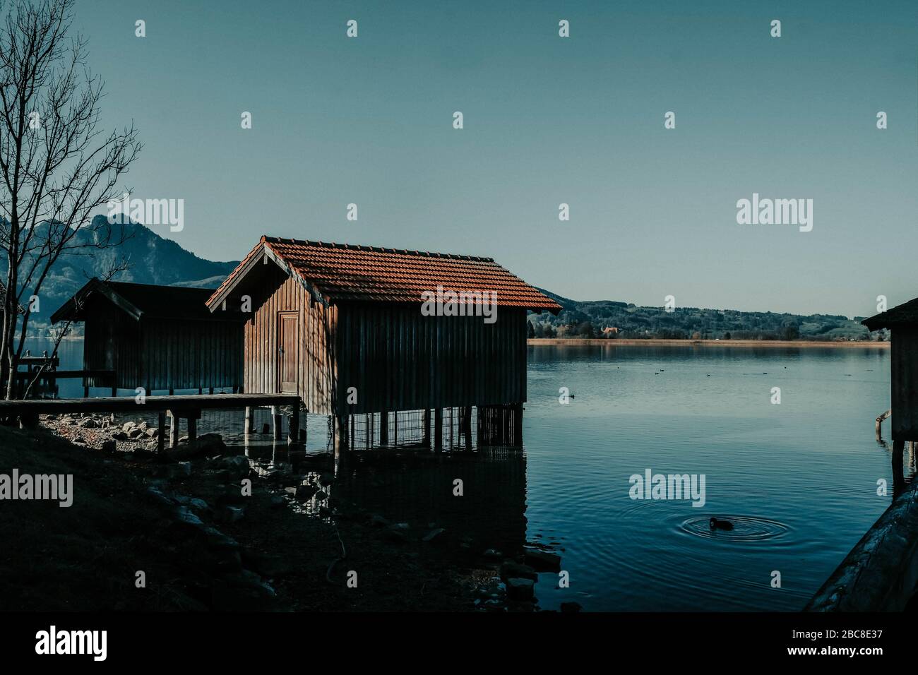 Casa di legno, lago, Baviera, Germania, boathouse, acqua, montagne, Foto Stock