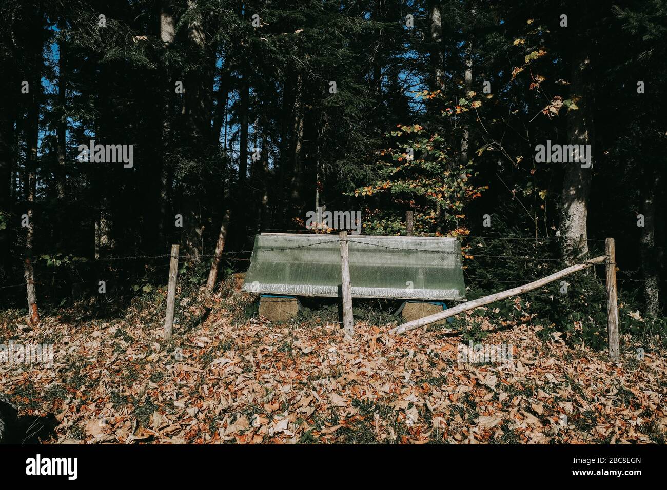 Panca, recinzione, telone, foresta, Baviera, Germania, protezione, demarcazione, alberi, abeti, pausa, trekking, protezione dalla pioggia Foto Stock